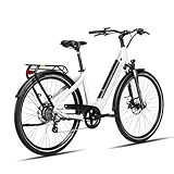 DERUIZ E-Bike Quartz,28 Zoll Trekking Elektrofahrrad, E Bike Damen und Herren, 250W 55N.m...