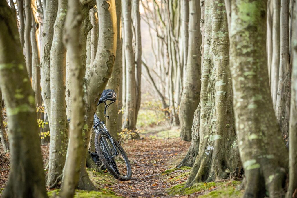 bike, travel, nature, trees, outdoors, bike, bike, bike, bike, bike