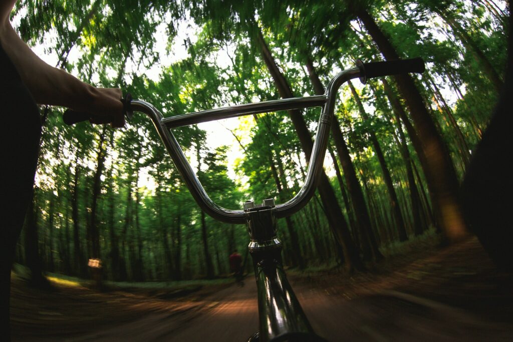 Riding a bmx bike through a sunlit forest.