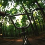 Riding a bmx bike through a sunlit forest.
