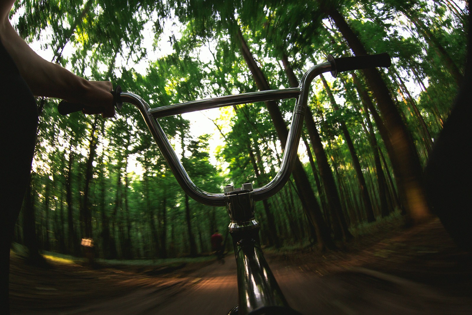 Riding a bmx bike through a sunlit forest.