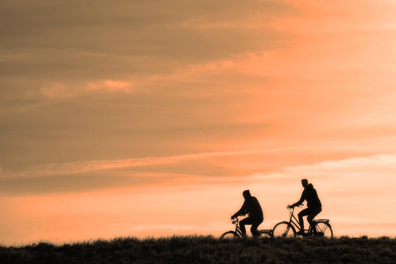 cyclist, person, people, men, nature, bicycle, cycling, exercise, active, travel, transport, ride, bicycle ride, road, sunset, silhouette